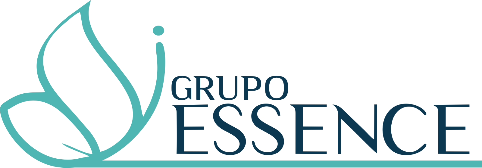 Grupo Essence